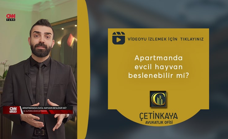 Apartmanda evcil hayvan beslenebilir mi? | İzmir Avukat